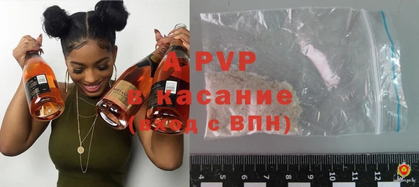 трава Белокуриха