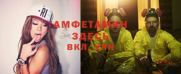 трава Белокуриха