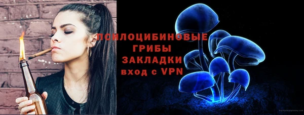 стаф Беломорск