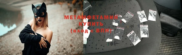 трава Белокуриха