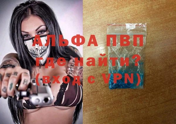 трава Белокуриха