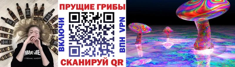 Галлюциногенные грибы Psilocybe  Армавир 